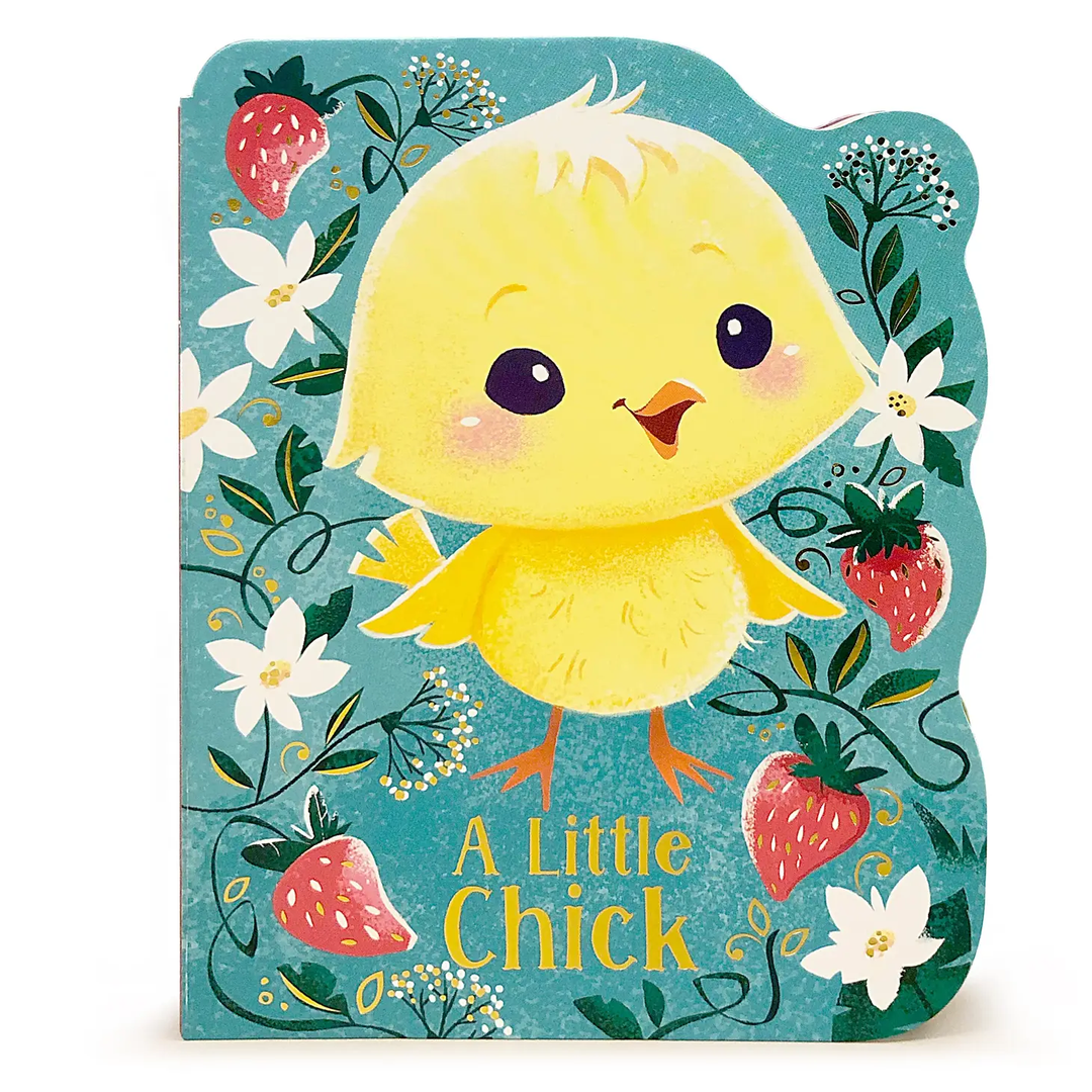 NEW A Little Chick Board Book