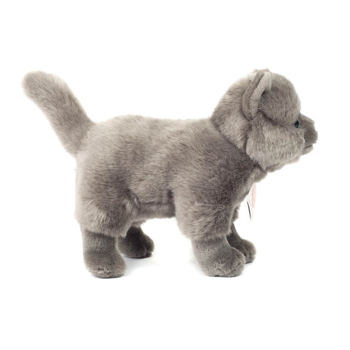 Heirloom Stuffed Animals- Carthusian Cat
