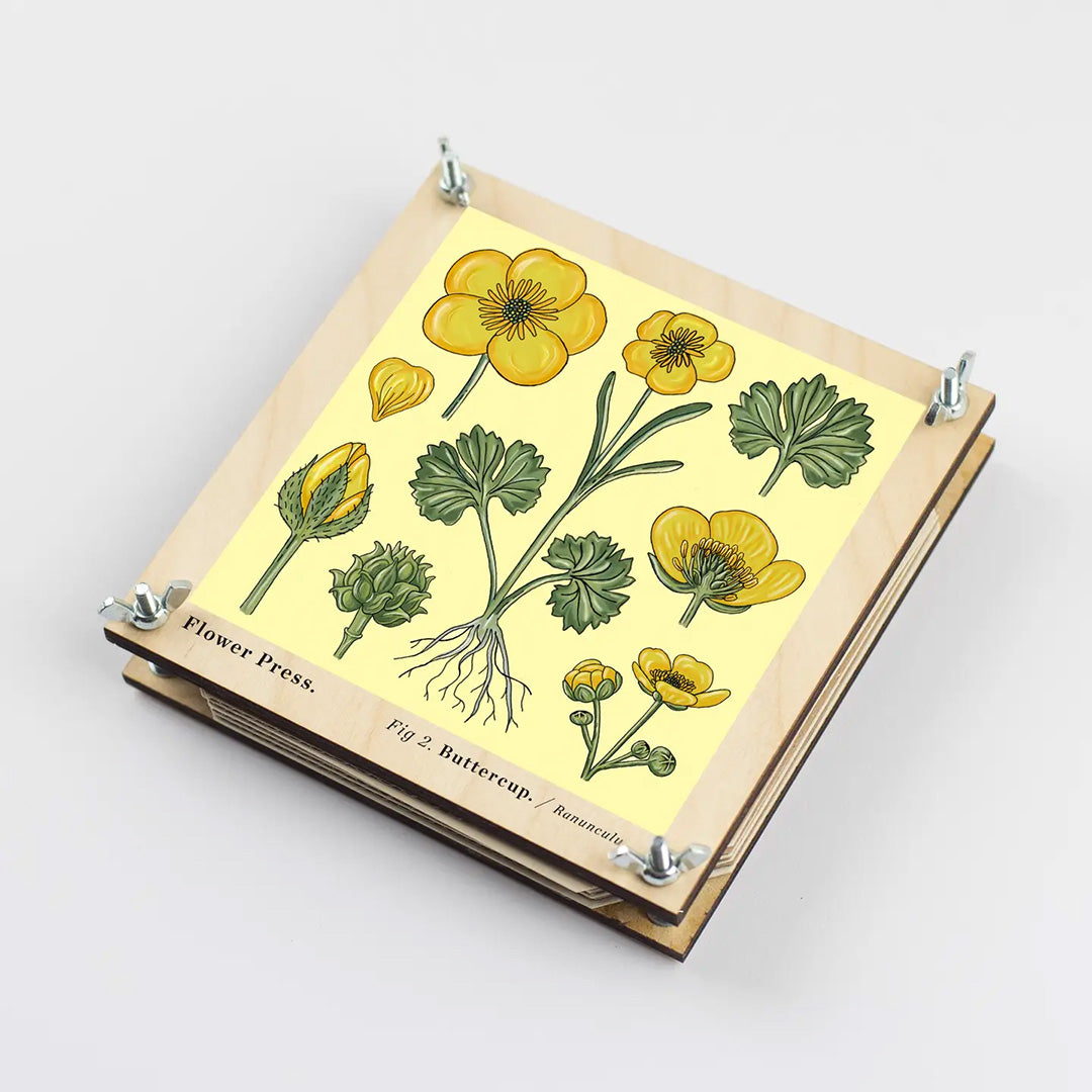 Wooden Flower Press - Buttercup (Large)