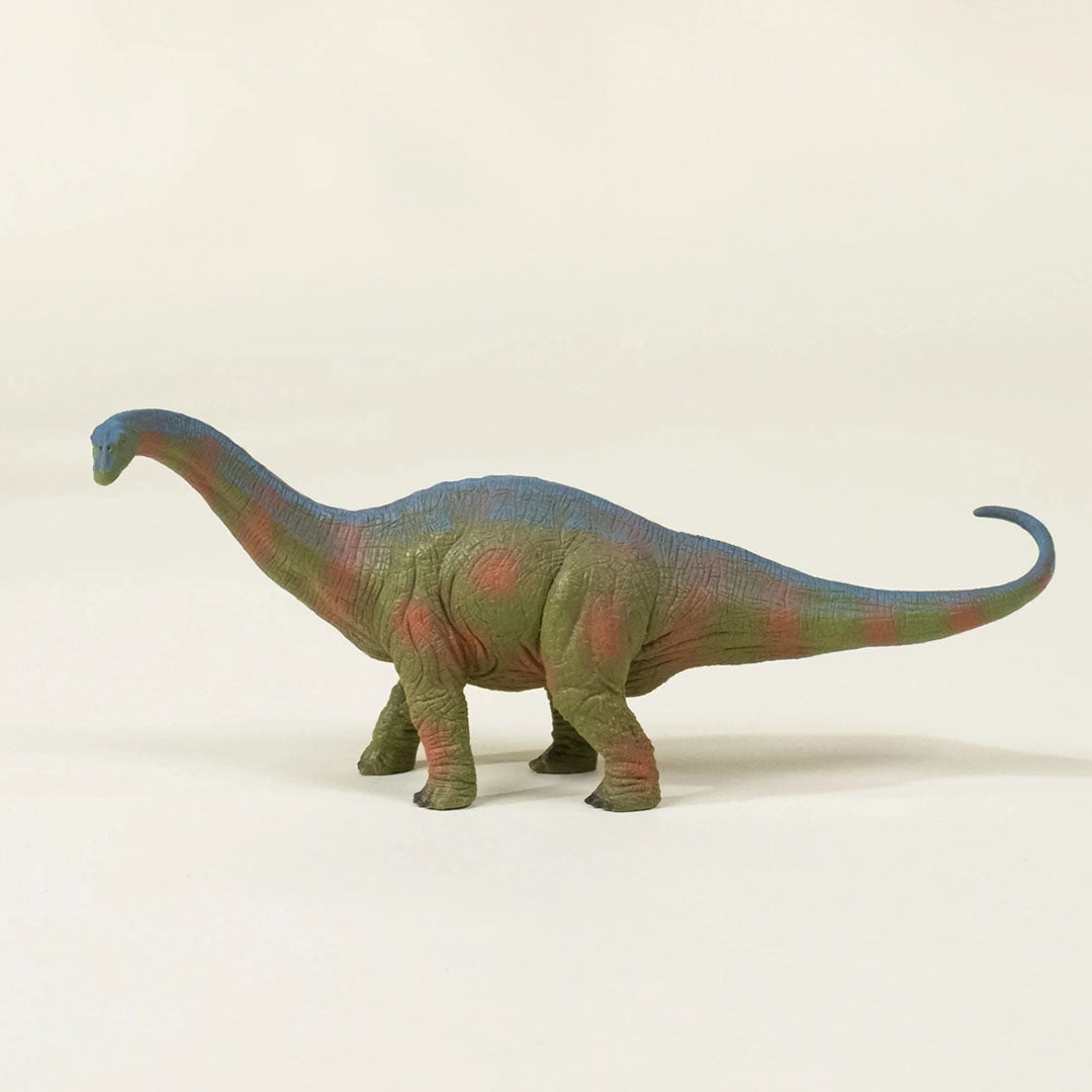 Brachiosaurus Dinosaur in a Collectible Box