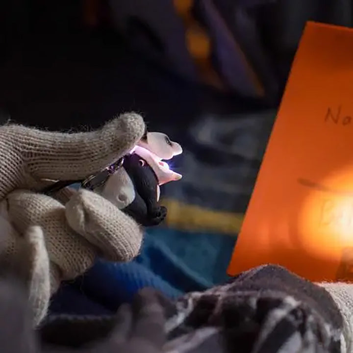 Animal Carabiner Flashlight - Panda Bear