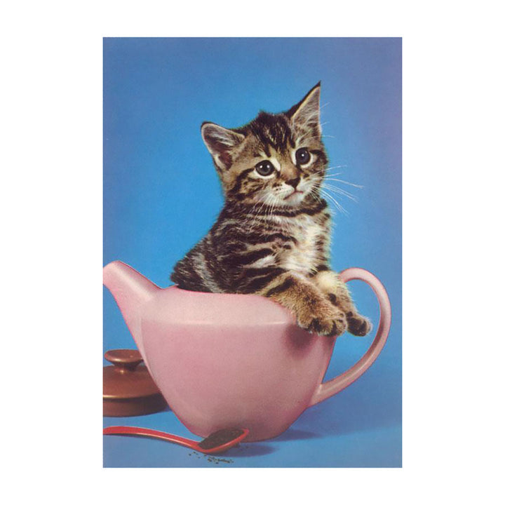 Postcard - Kitten in Tea Pot