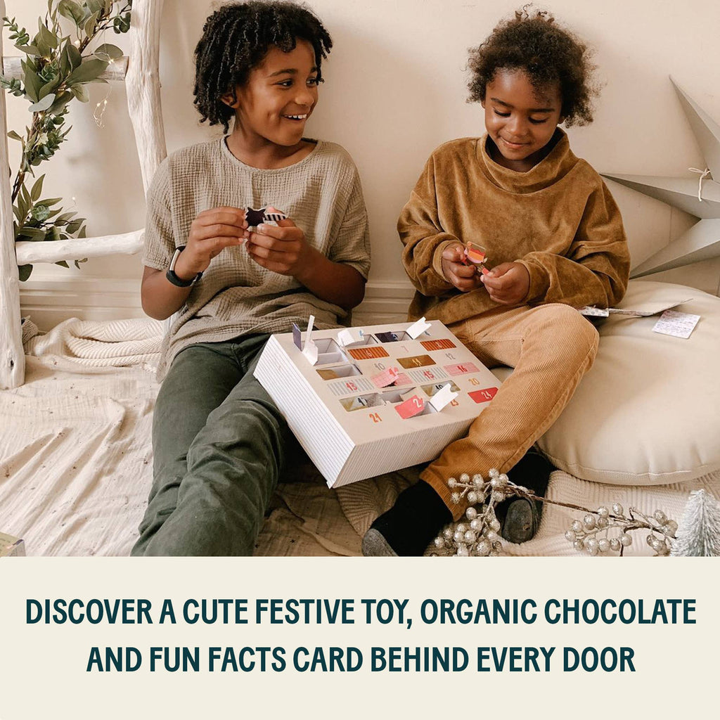 NEW Organic Chocolate 12 Day Christmas Advent Calendar