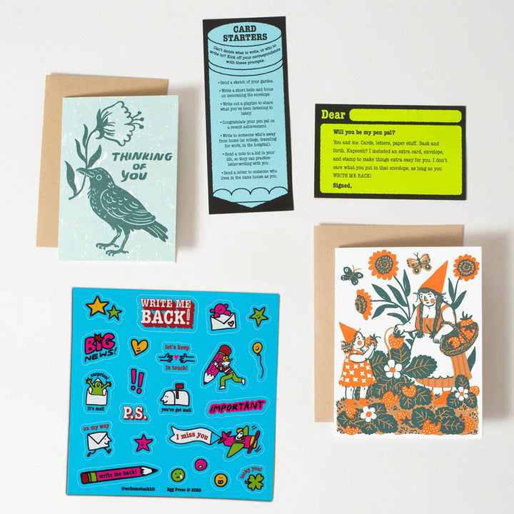 Phoebe Wahl Strawberry + Crow Write Me Back Pen Pal Kit