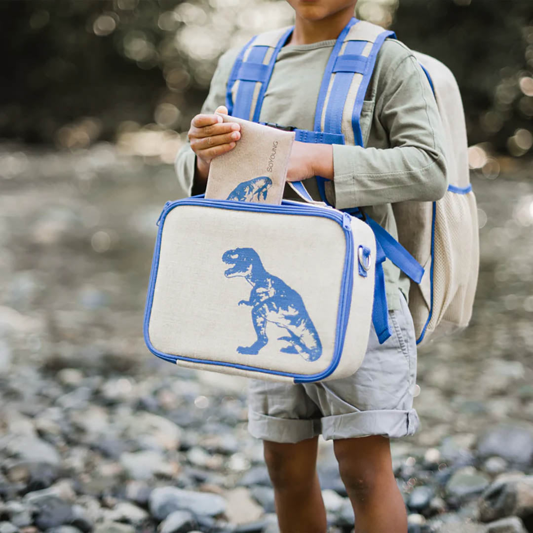 Blue Dino Lunch Box For Kids