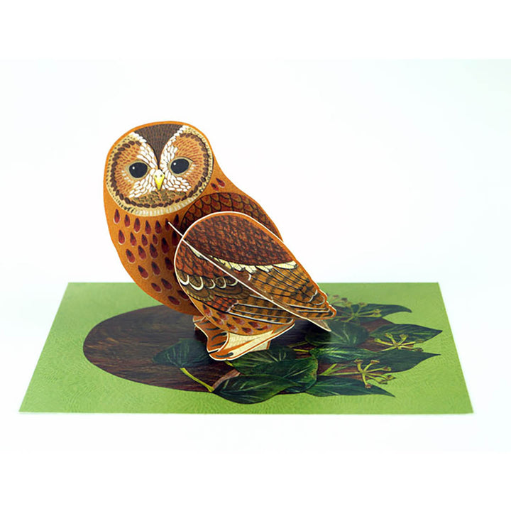 Pop-out Tawny Owl Card