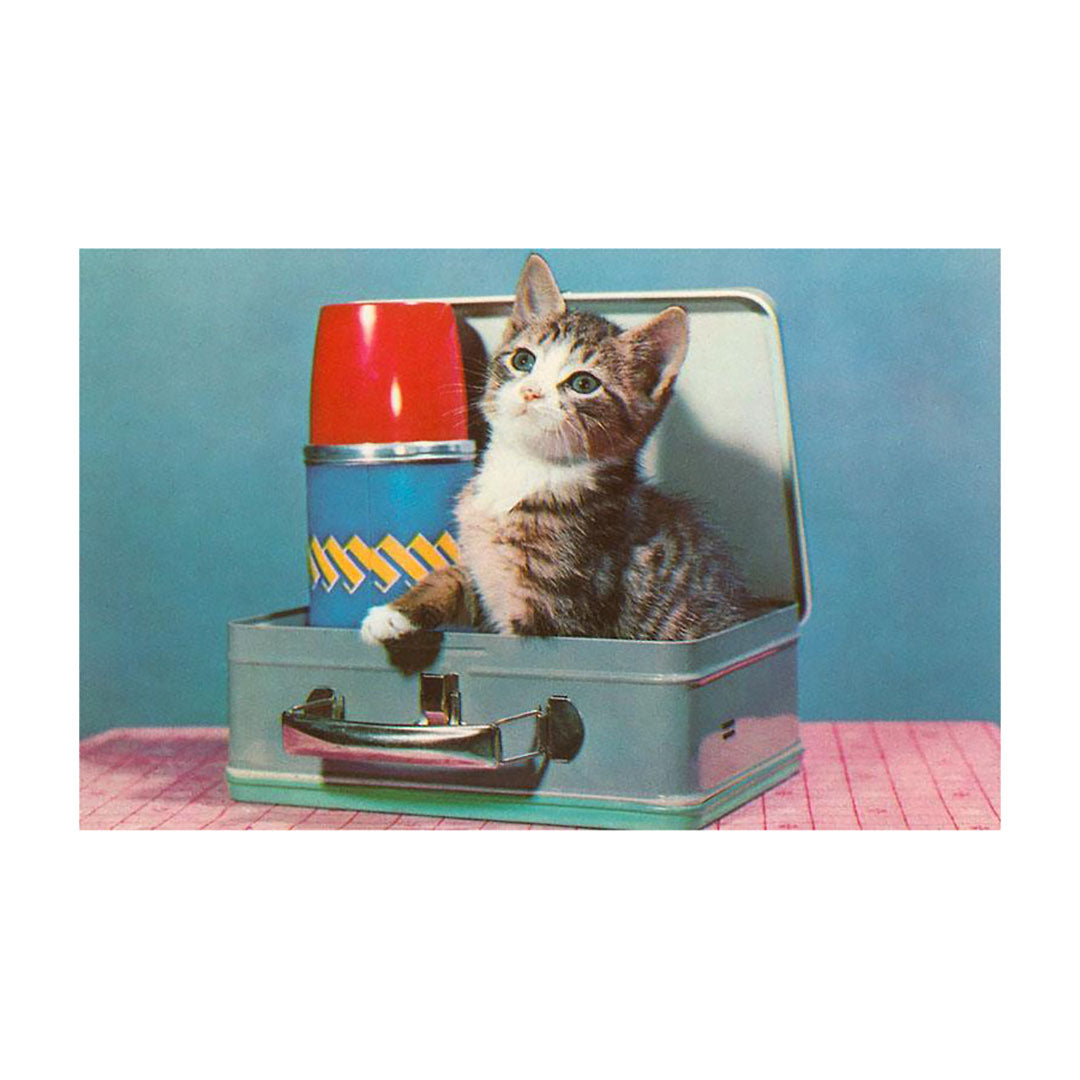 Postcard - Kitten in a Lunchbox