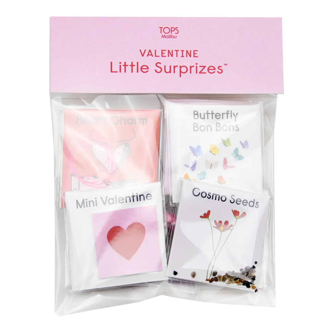 10 Little Surprizes™ Assortment Bag - Valentine's Day