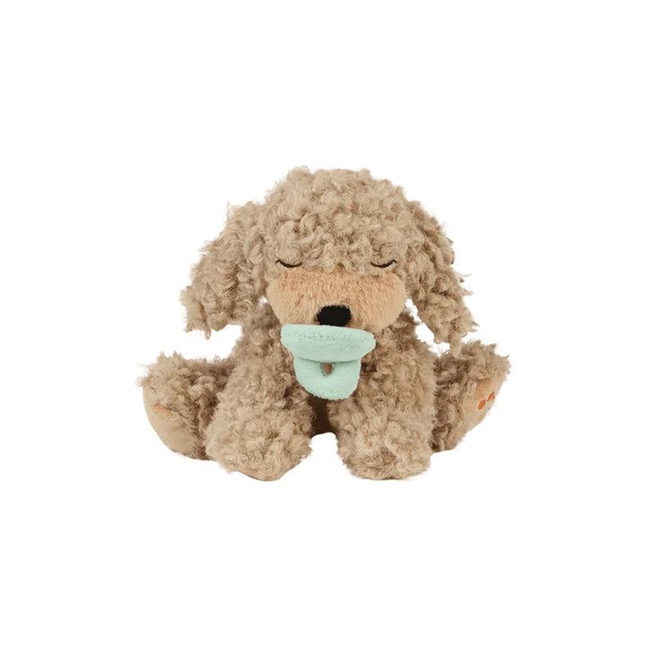 Binky Puppy- Benny