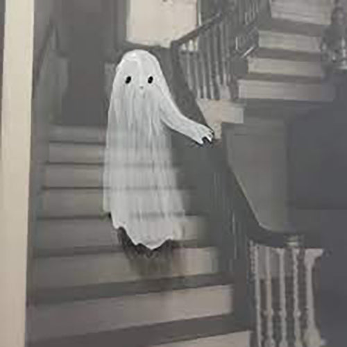 There's a Ghost in this House Book by Oliver Jeffers