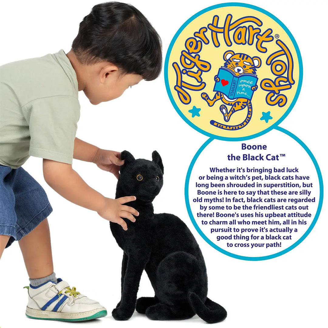 Boone The Black Cat - 13" Stuffed Animal Plush