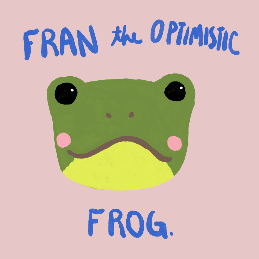 NEW DIY CRAFT KIT: Fran the Optimistic Frog