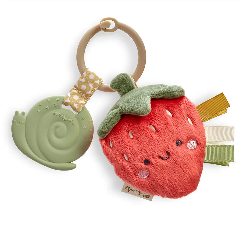 NEW Strawberry Baby Crinkle Teether and Toy