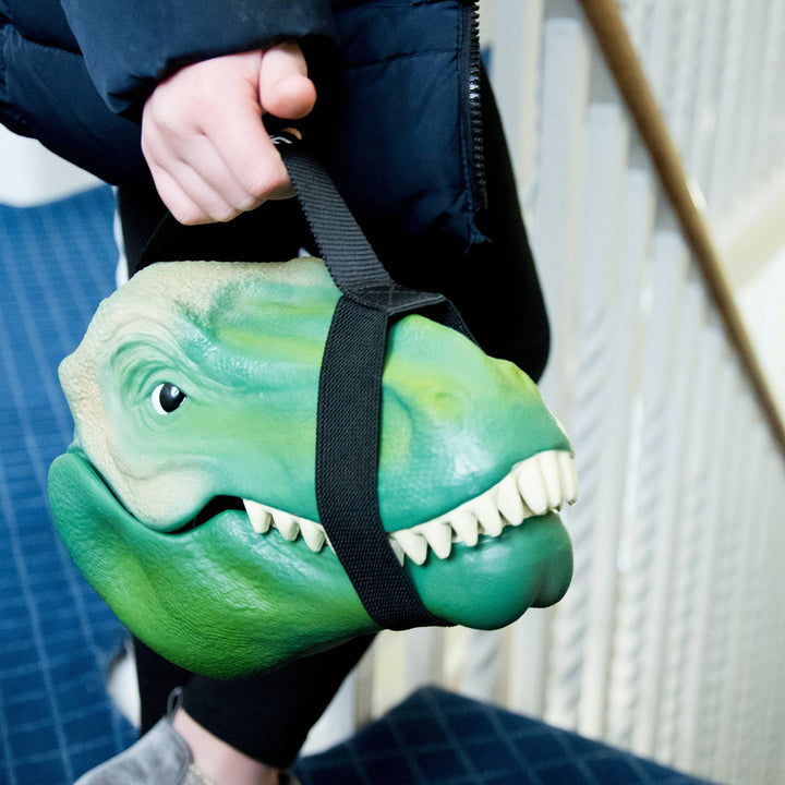 Lunch Box Case- Dinosaur