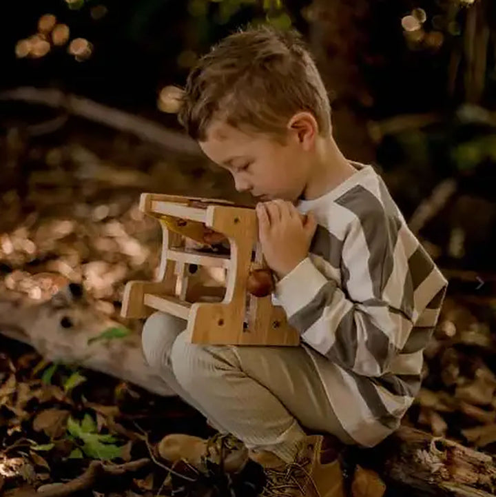 Wooden Microscope