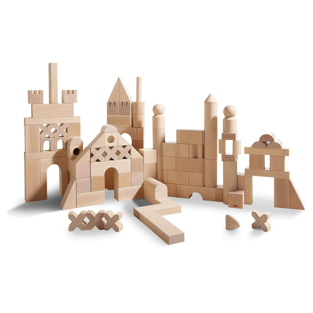 Basic Building Blocks 102 Piece Extra Large Wooden Starter Set – Shop ...