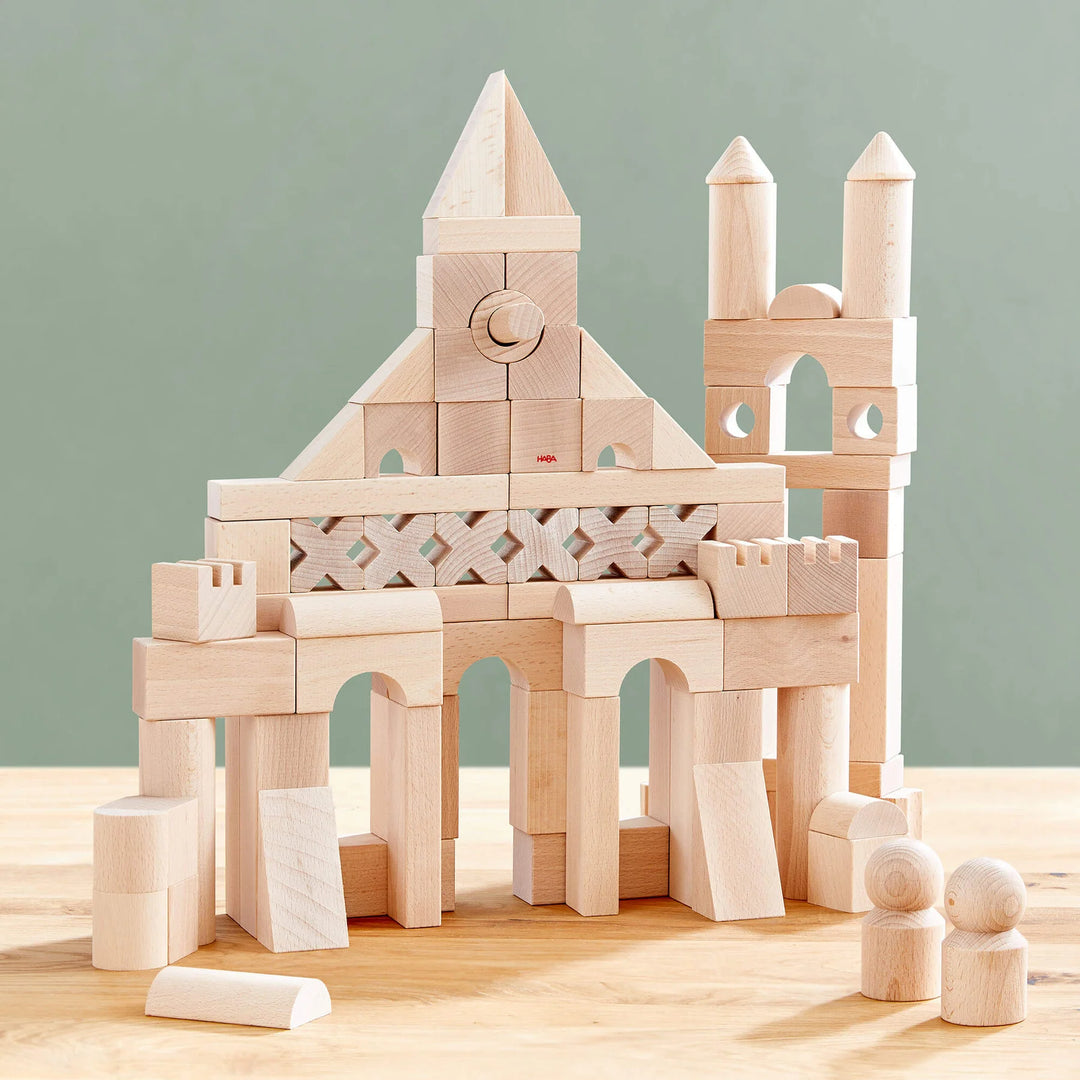 Basic Building Blocks 102 Piece Extra Large Wooden Starter Set – Shop ...