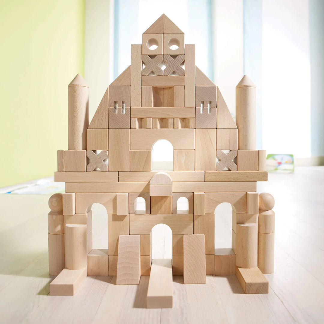 All Basic Blocks Basic Building Blocks 102 Piece Extra Large Wooden Starter Set – Shop ...