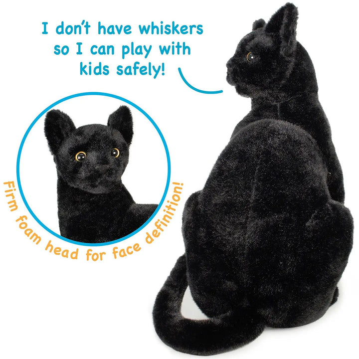 Boone The Black Cat - 13" Stuffed Animal Plush