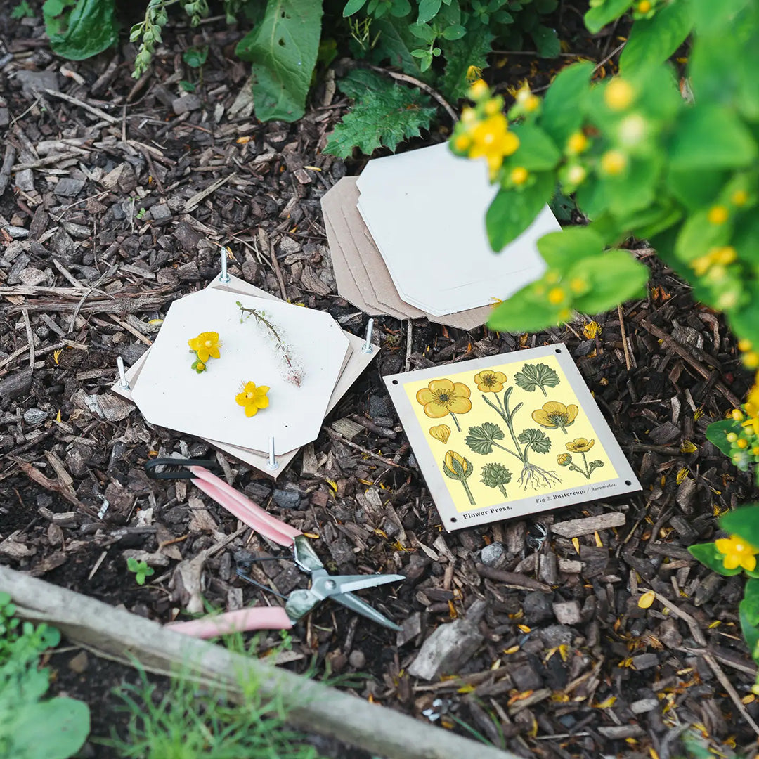 Wooden Flower Press - Buttercup (Large)