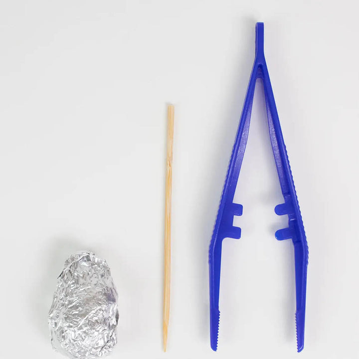 Owl Pellet Dissection Pack