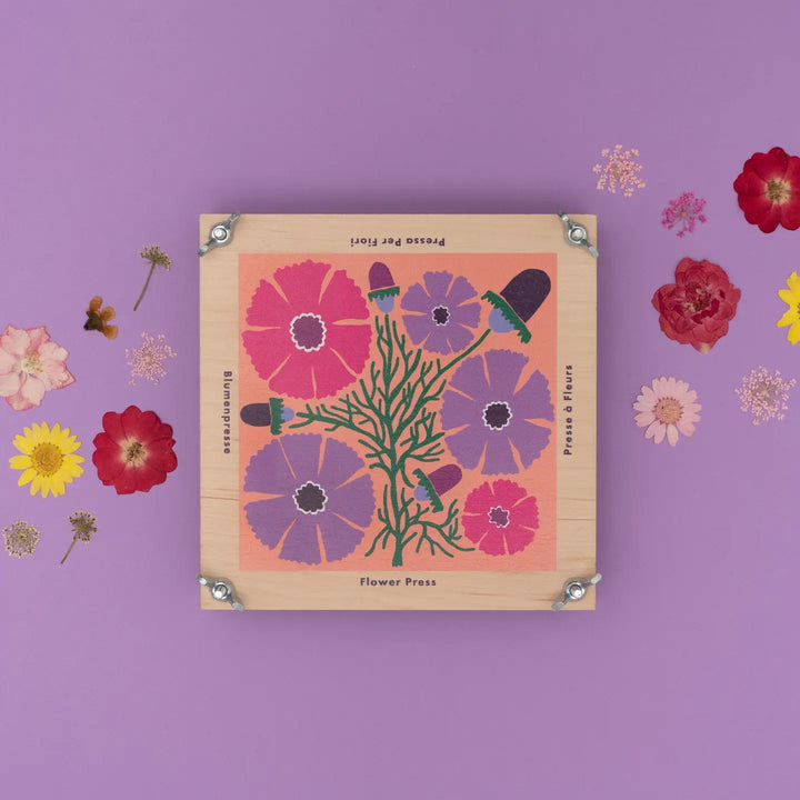 Wooden Large Flower Press Kit- Cosmos