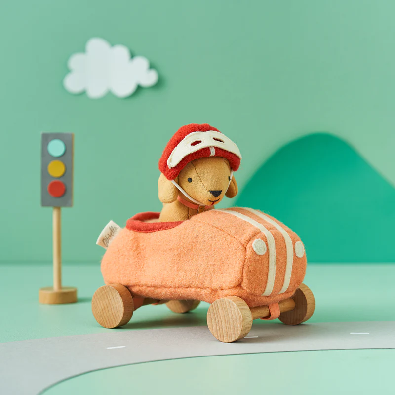 Holdie Dog-Go-Racer Girl Doll Set