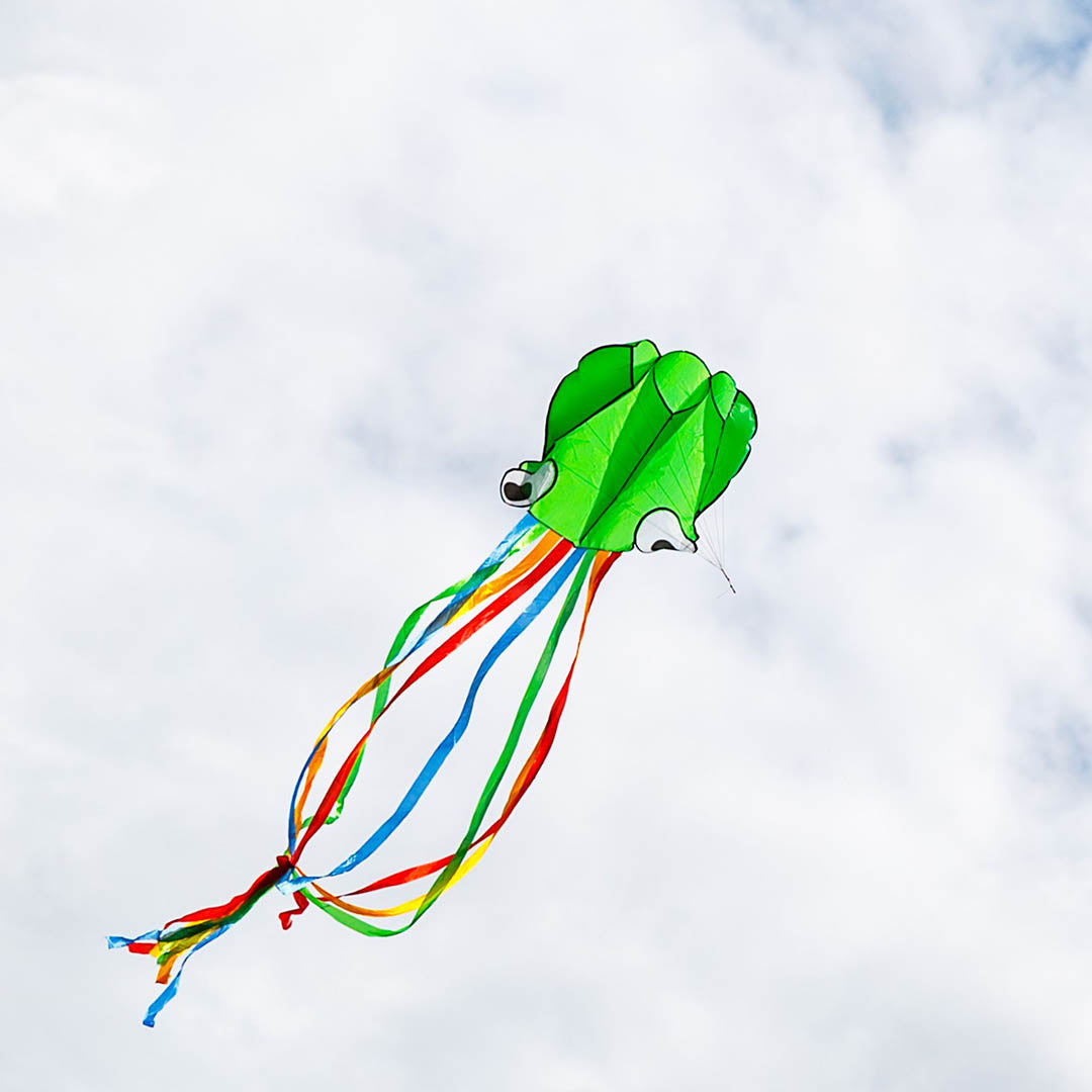 NEW Octopus Kite - Assorted Colors