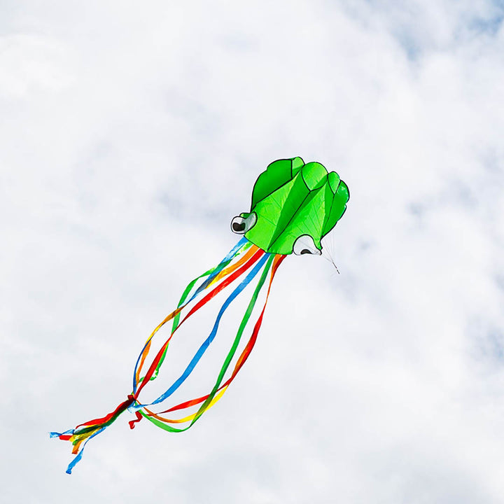 NEW Octopus Kite - Assorted Colors