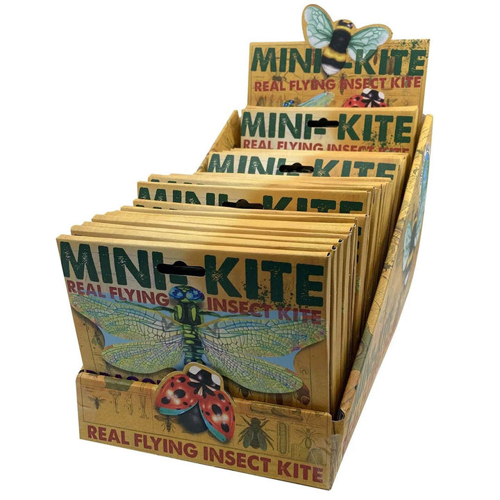 NEW Mini Flying Insect Kites - Three Types!