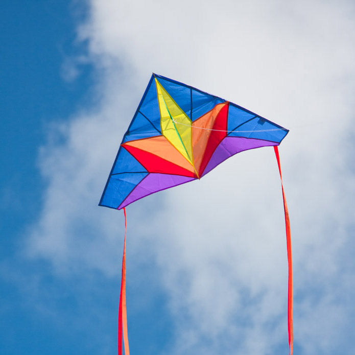 Delta Outdoor Kite