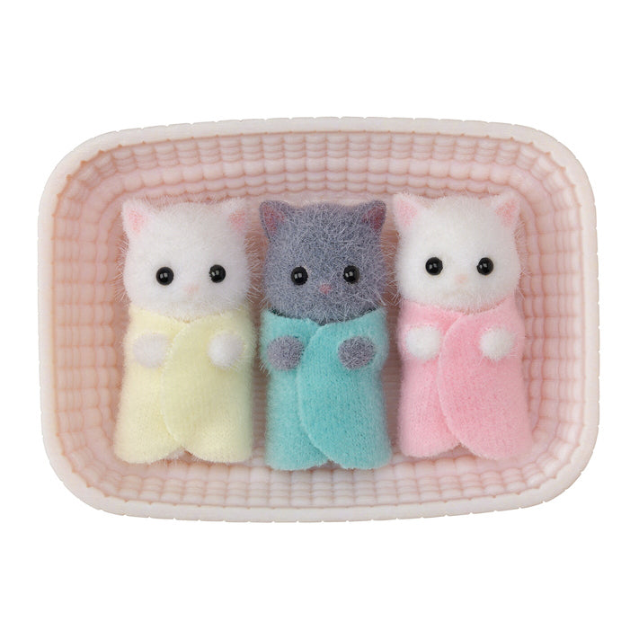 Persian Cat Triplets Set