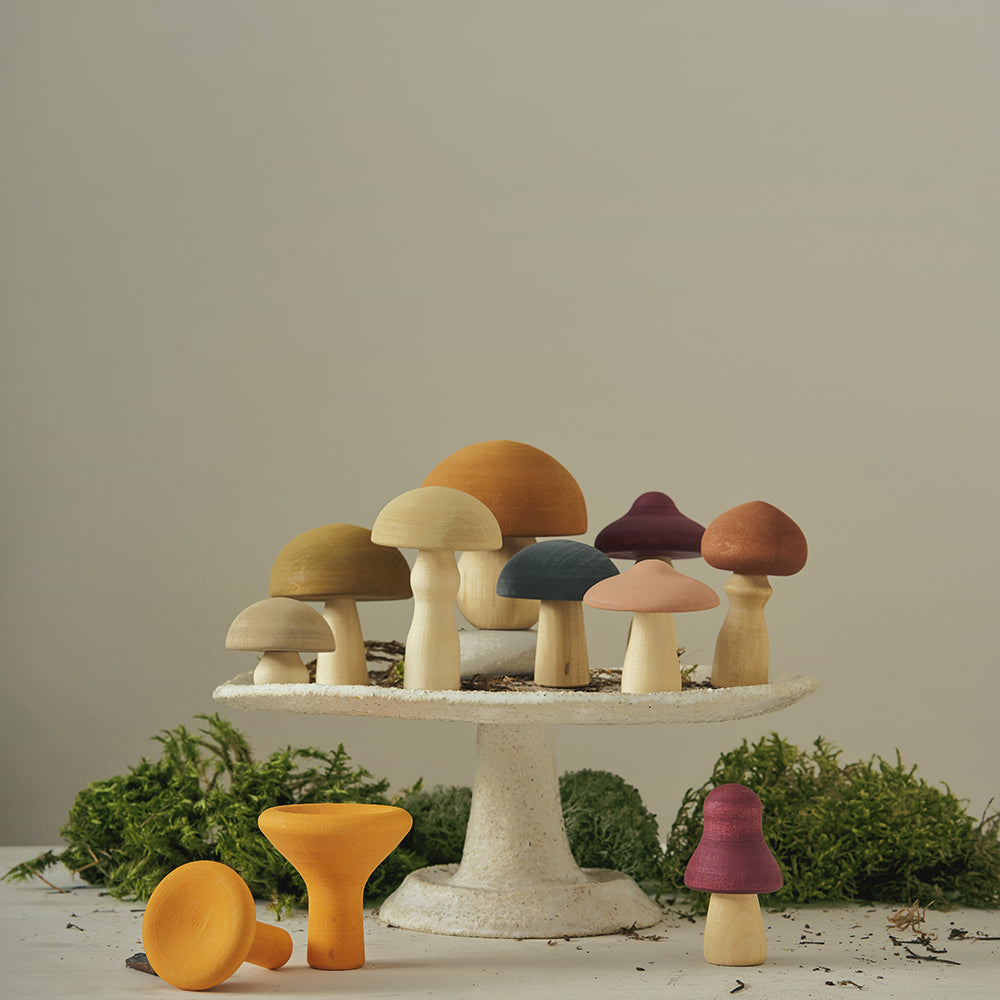 Wooden Mushroom Toy Set- Colorful