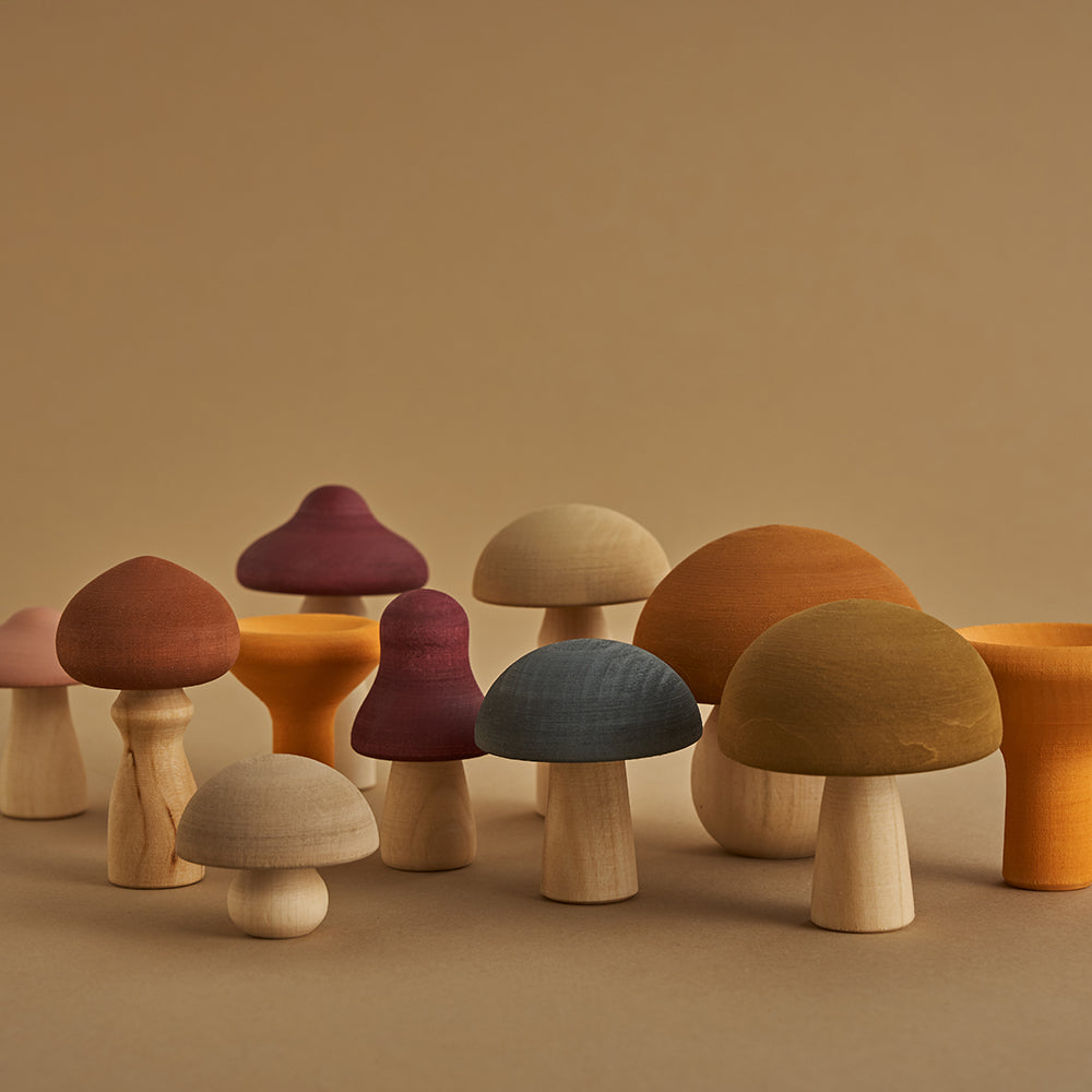 Wooden Mushroom Toy Set- Colorful