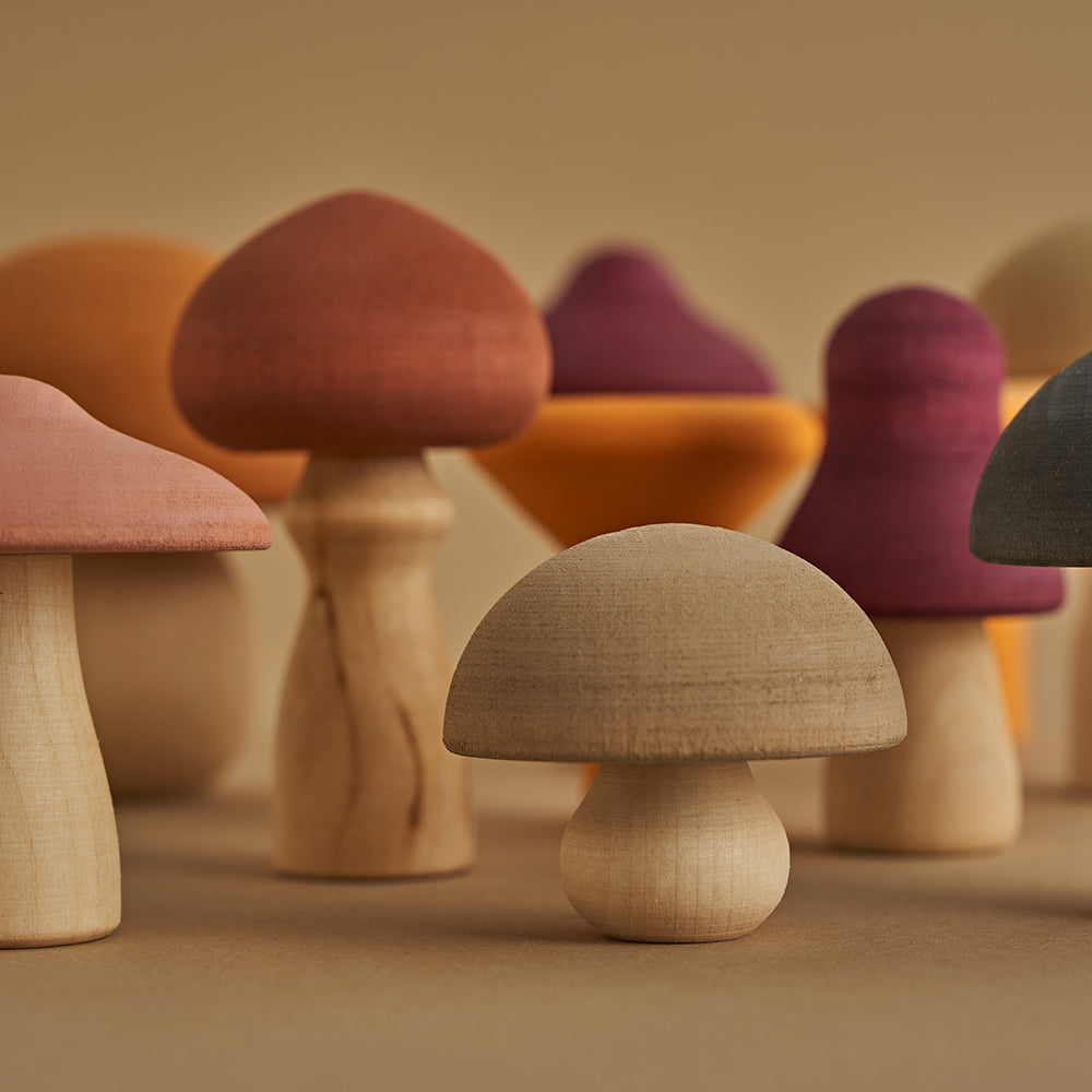 Wooden Mushroom Toy Set- Colorful