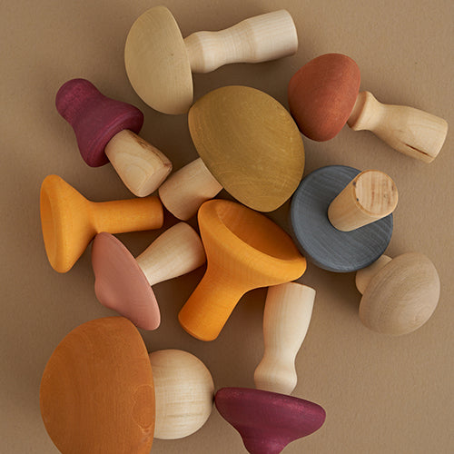 Wooden Mushroom Toy Set- Colorful