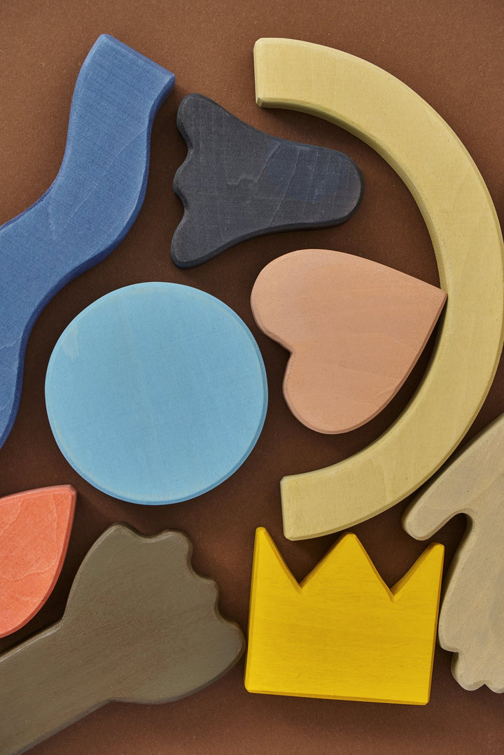 Diversity Wooden Building Blocks