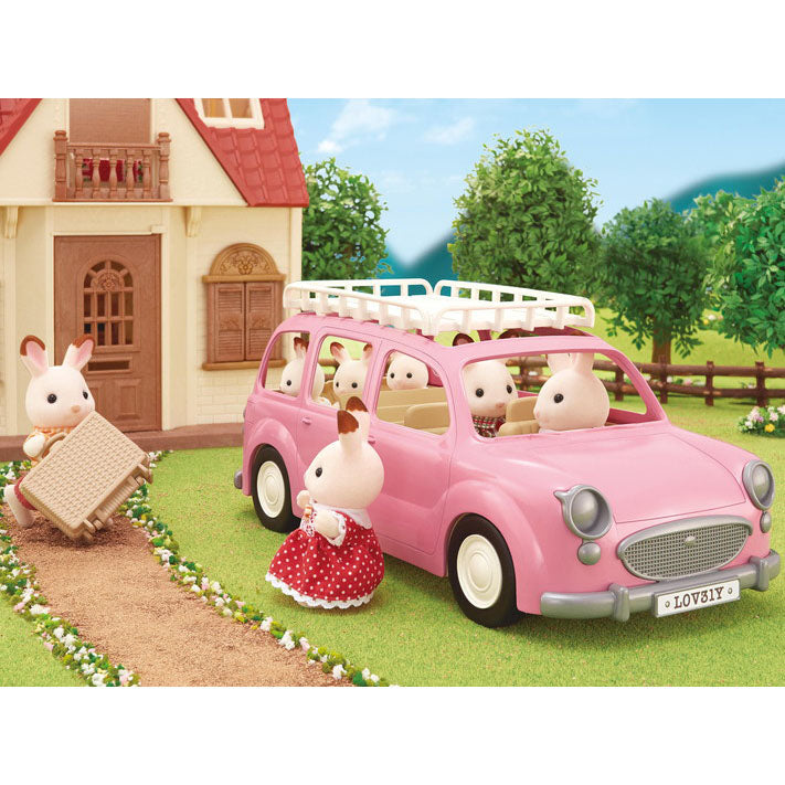 NEW Family Picnic Van- Pink