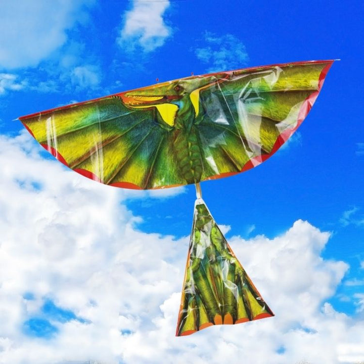 Pterodactyl Flying Machine