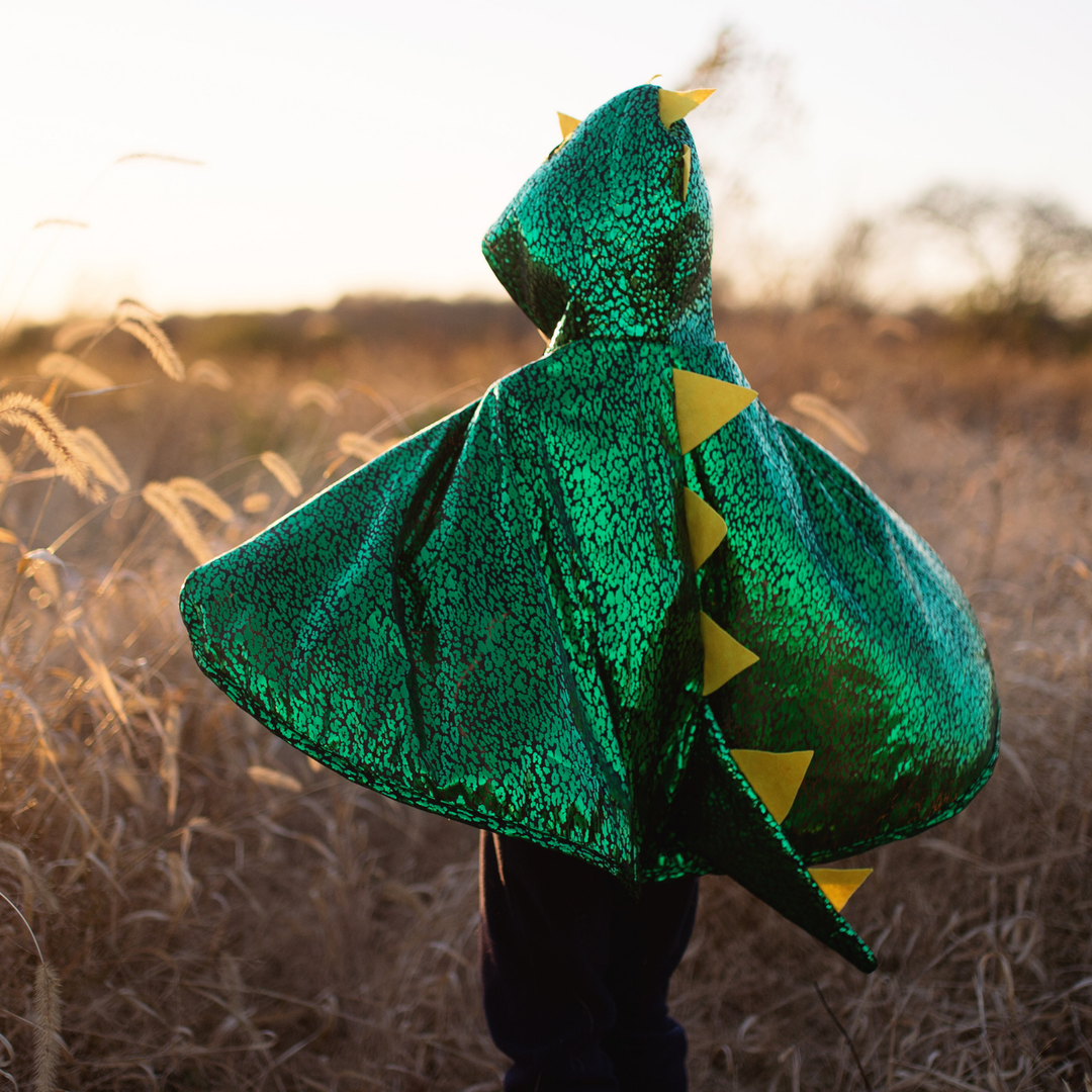 NEW Toddler Dragon Cape