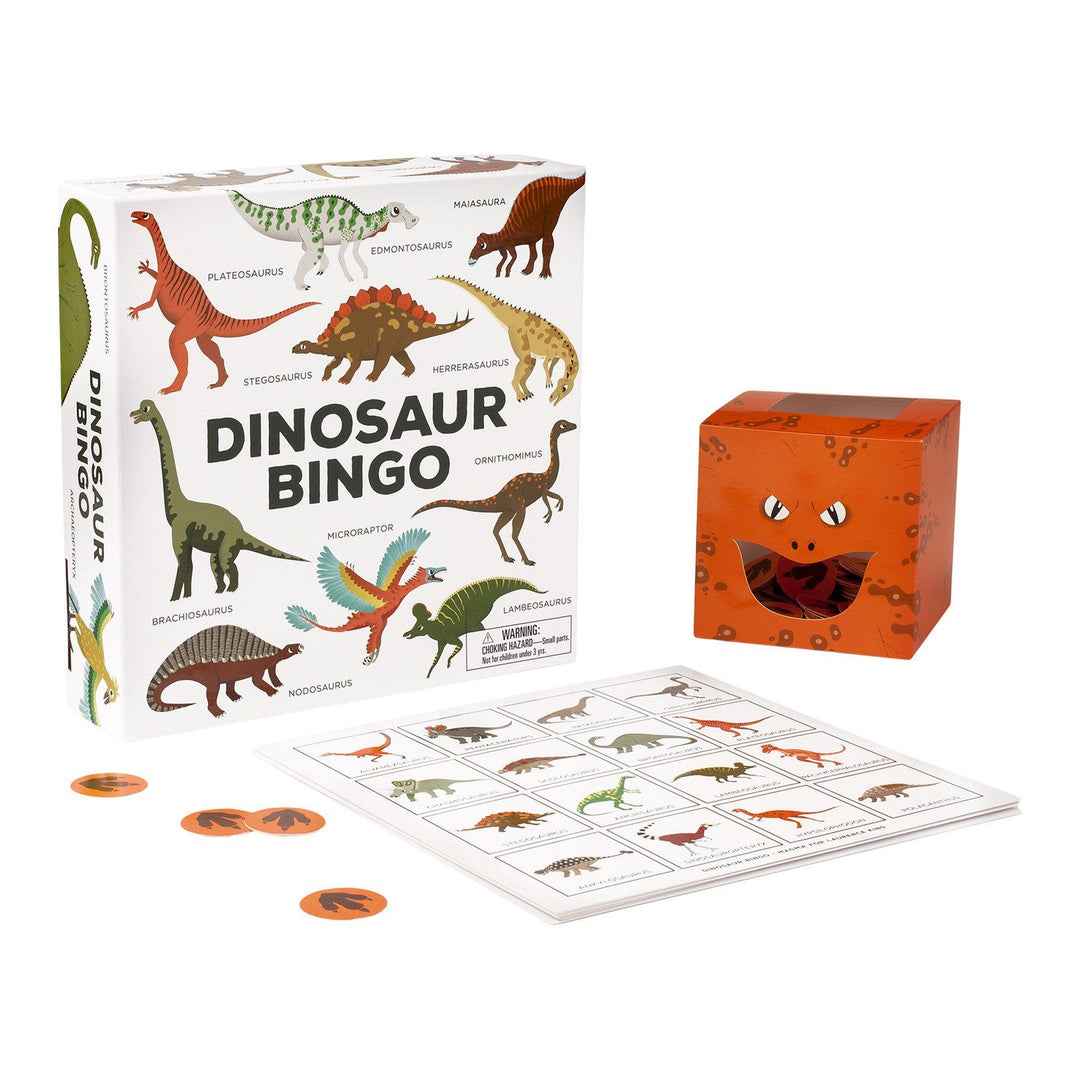 Dinosaur Bingo Game Set