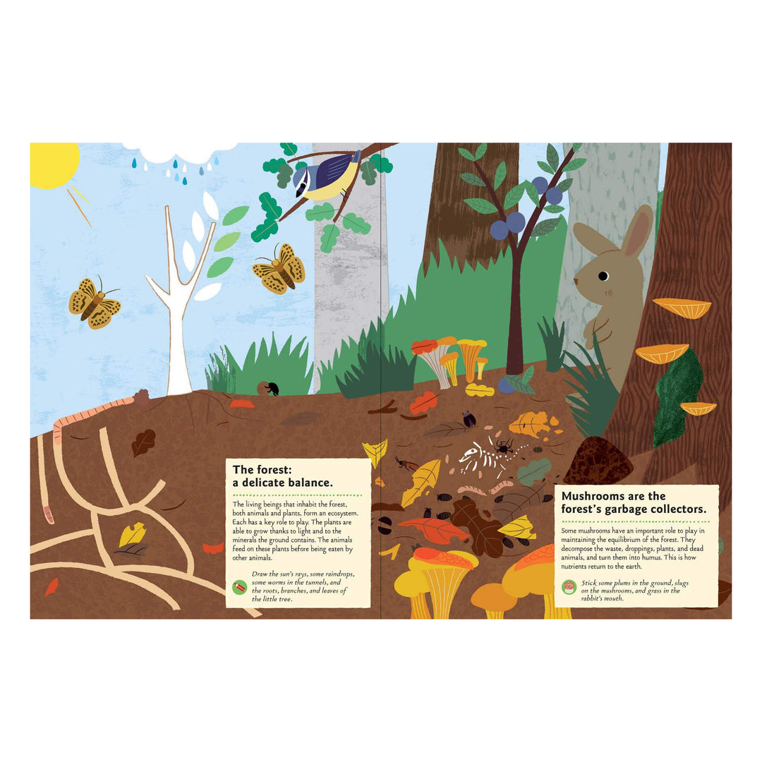 In the Forest Sticker Activity Book