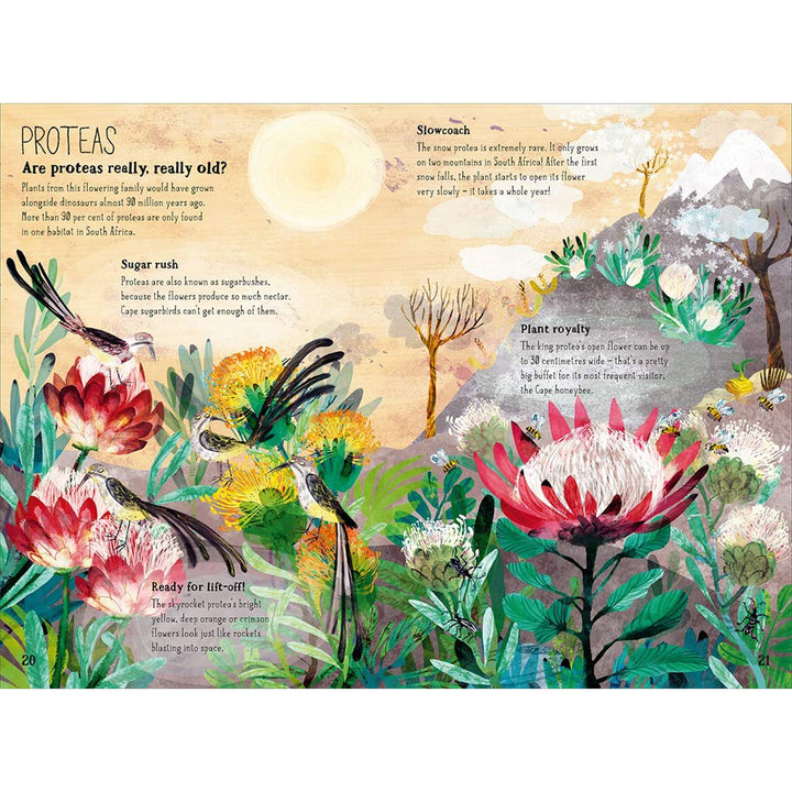 Big Book of Blooms