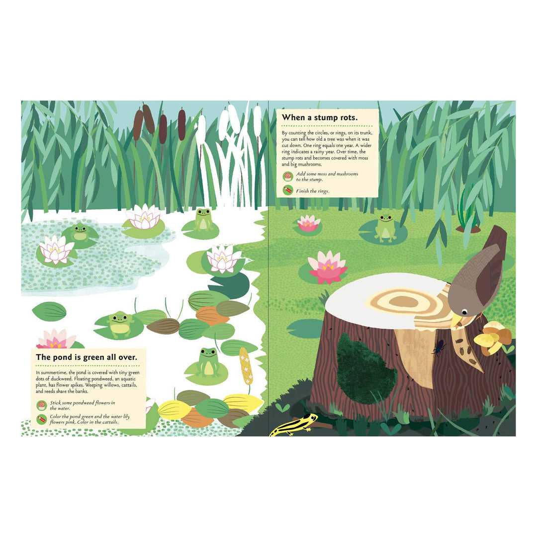 In the Forest Sticker Activity Book