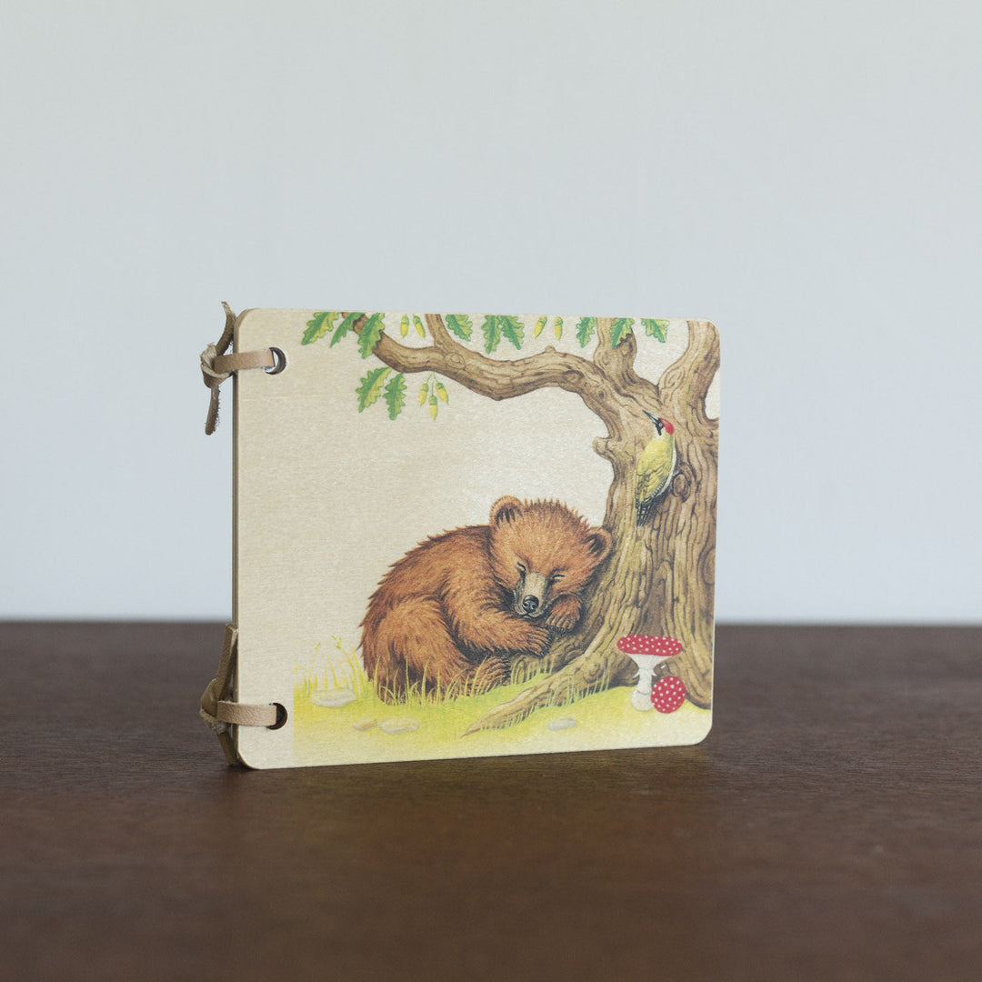 Bear Wooden book