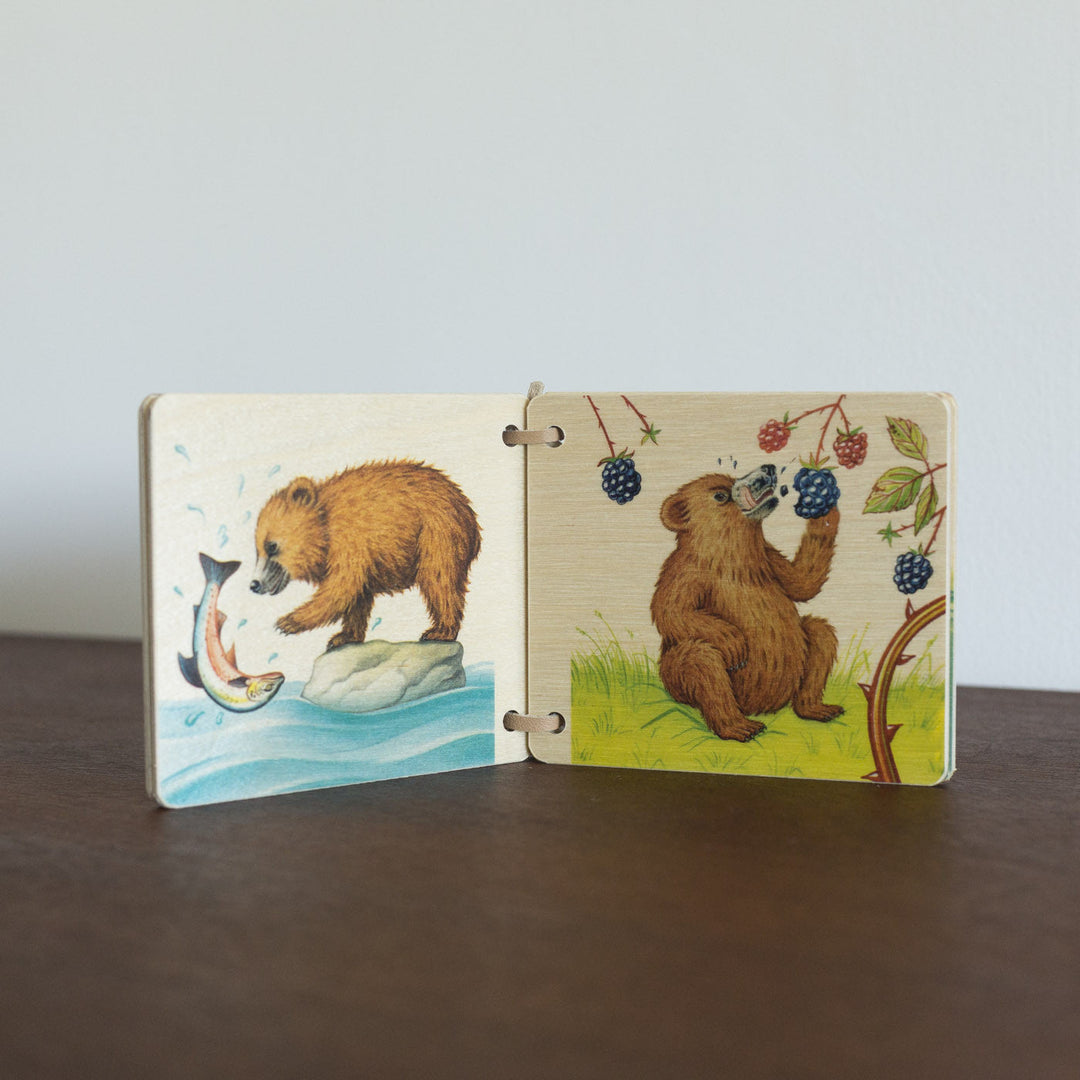 Bear Wooden book Open