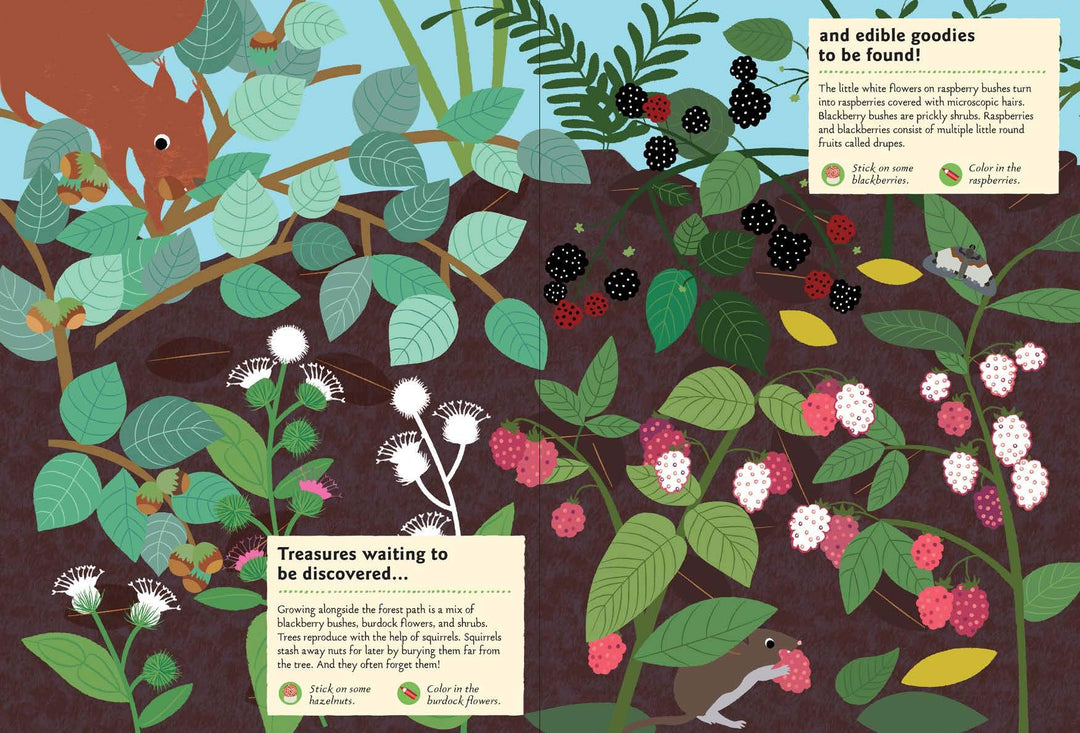 In the Forest Sticker Activity Book