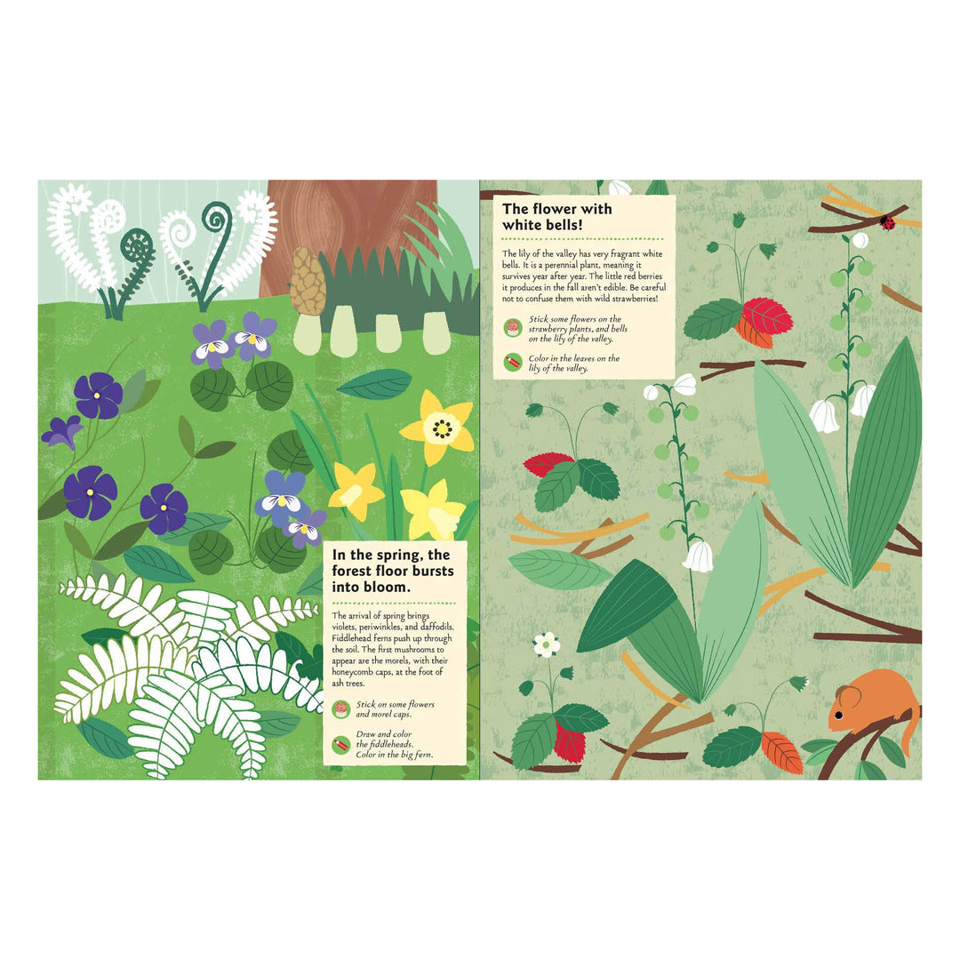 In the Forest Sticker Activity Book