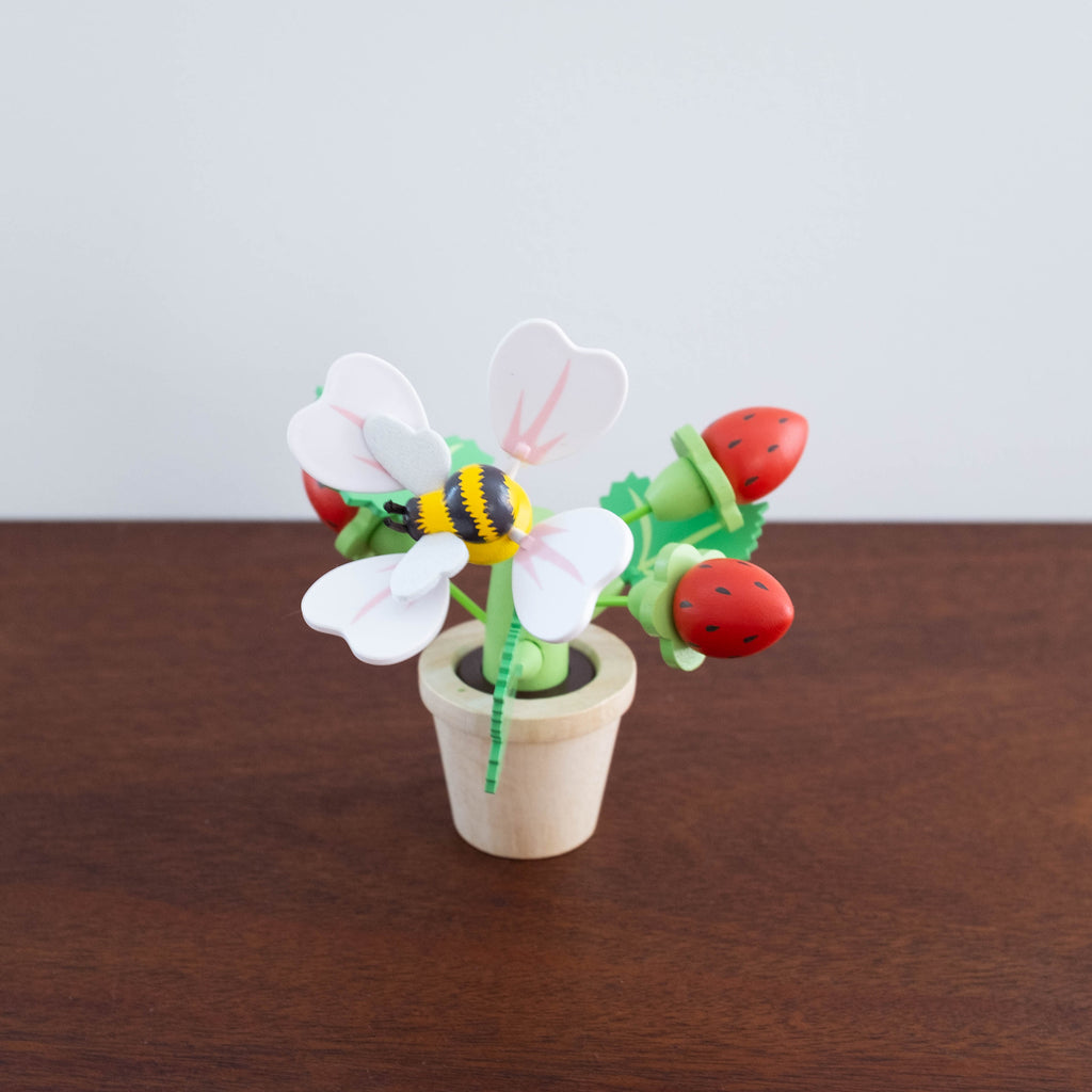 Strawberry Flower Pot Set