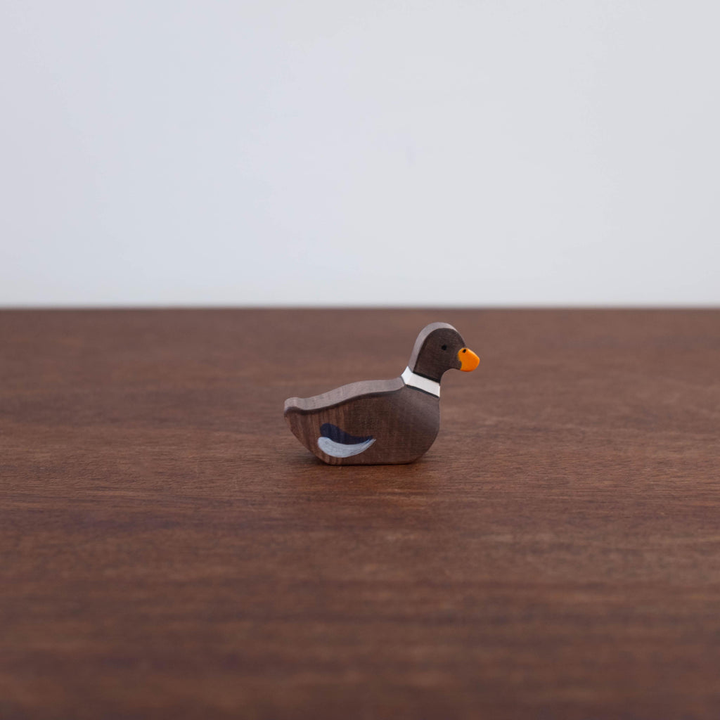 Holztiger Swimming Duck